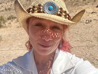 Alyssa Foux Music (Alyssa Fiesser) is a singer, songwriter, and acoustic guitarist from Northern Illinois.